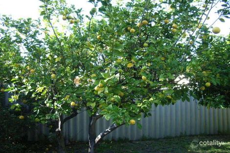 Property photo of 40 Ryrie Avenue Como WA 6152