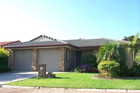 12 Kalmia Ct, Elanora, QLD 4221