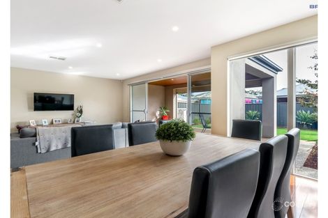 Property photo of 13 Gordon Terrace Morphettville SA 5043