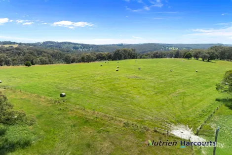 241 Chisholms Rd, Highlands, VIC 3660