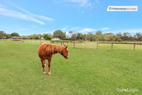 Property photo of 33 Daffodil Street Tallebudgera QLD 4228