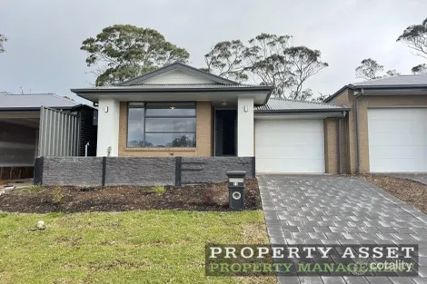 13 Appaloosa Gr, Mount Barker, SA 5251