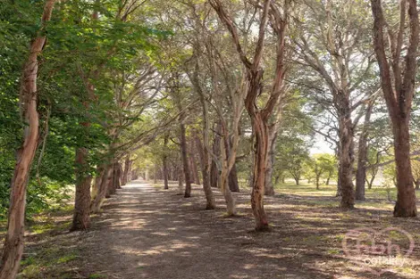 Property photo of 31 Dickinson Street Watson ACT 2602