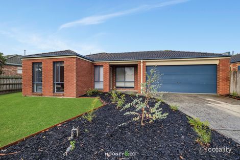 Property photo of 8 Stephellen Way Cranbourne West VIC 3977