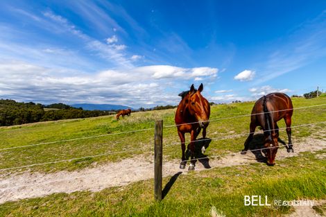 Property photo of 3 Eleanor Drive Silvan VIC 3795