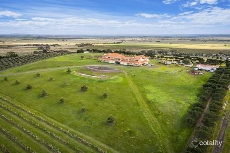 Property photo of 170 Vineyard Road Sunbury VIC 3429