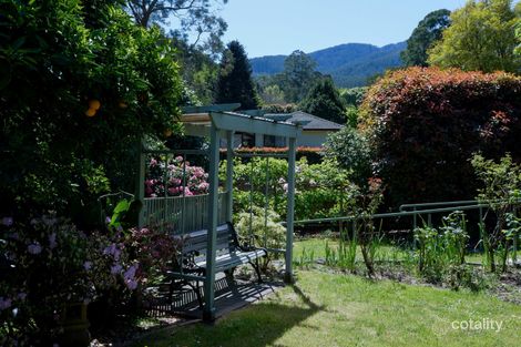 Property photo of 3 Wonga Road Millgrove VIC 3799