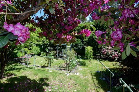 Property photo of 3 Wonga Road Millgrove VIC 3799