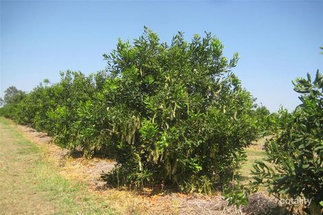 Property photo of 6 Walla Street Wallaville QLD 4671