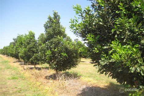 Property photo of 6 Walla Street Wallaville QLD 4671