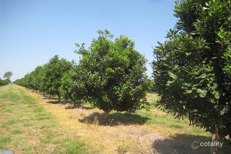 Property photo of 6 Walla Street Wallaville QLD 4671