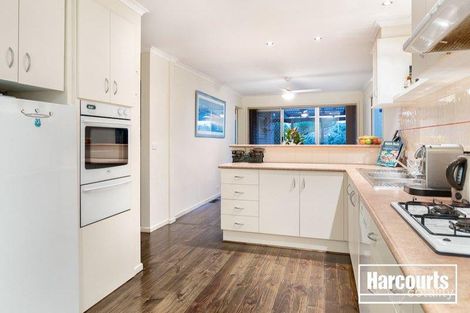 Property photo of 19 Coniston Avenue Berwick VIC 3806