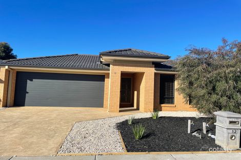 Property photo of 12 Pamela Avenue Jackass Flat VIC 3556