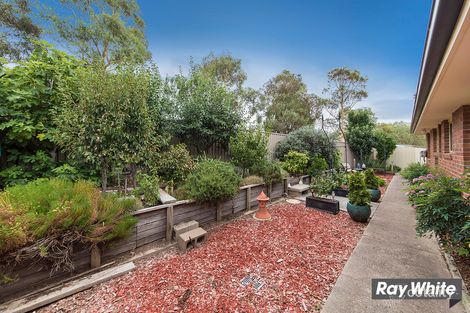 Property photo of 19 Pedrail Place Dunlop ACT 2615
