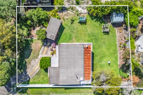Property photo of 22 Redman Road Dee Why NSW 2099