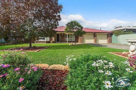 Property photo of 12 Malcolm Street Salisbury SA 5108