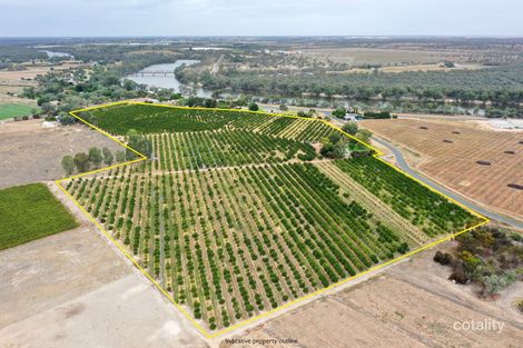 Property photo of 615 Delta Road Curlwaa NSW 2648