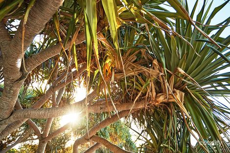 Property photo of 224/66 Bay Terrace Wynnum QLD 4178