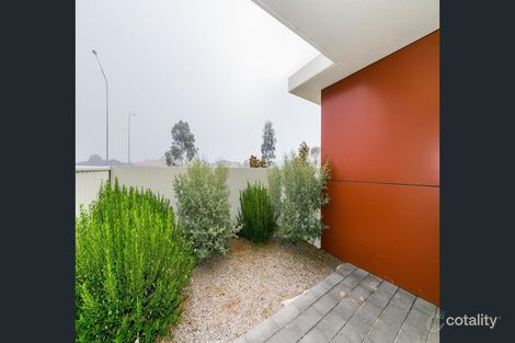 Property photo of 90/311 Flemington Road Franklin ACT 2913