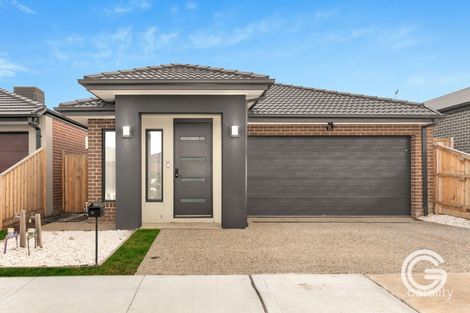 12 Coronidium St, Beveridge, VIC 3753