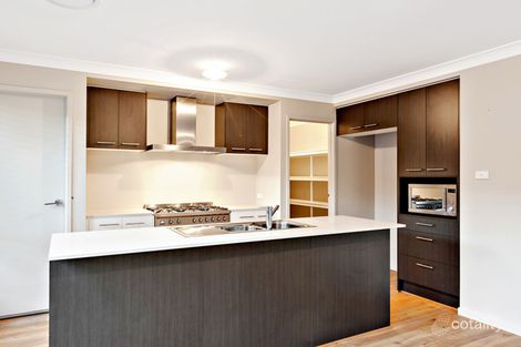 22a Moorilla St, Dee Why, NSW 2099