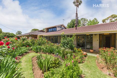 16 Tweed Ave, Marion, SA 5043