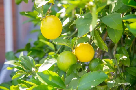 Property photo of 4B Killawarra Street Wingham NSW 2429