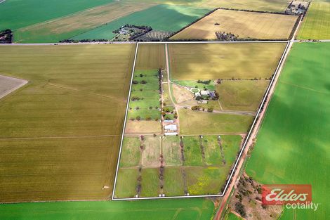 Property photo of 337 Barabba Road Mallala SA 5502
