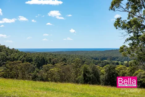 Property photo of LOT 55 Monkey Mountain Road Termeil NSW 2539
