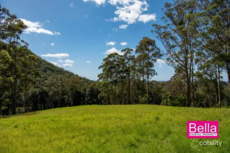 Property photo of LOT 55 Monkey Mountain Road Termeil NSW 2539