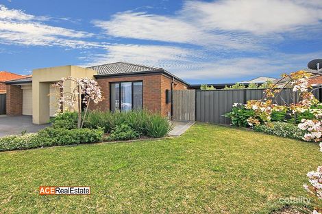 Property photo of 17 Astley Crescent Point Cook VIC 3030