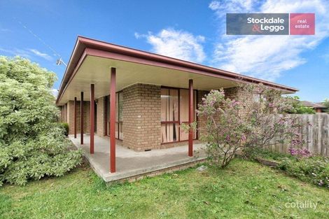 Property photo of 36 Wattleglen Street Craigieburn VIC 3064
