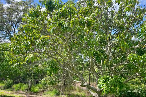 Property photo of 38 Wright Road Stanmore QLD 4514