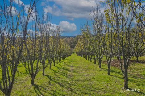 15 Pink Lady Lane, Harcourt, VIC 3453