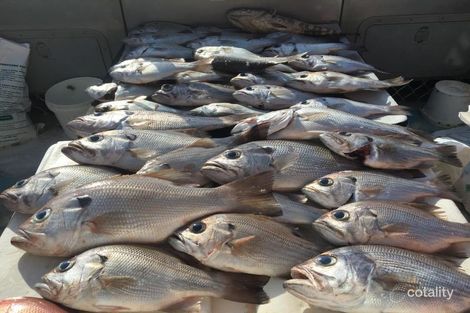 Property photo of 17 Tingira Close Rainbow Beach QLD 4581