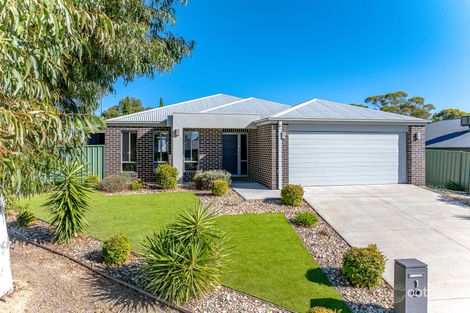 Property photo of 1 Dianella Court Kangaroo Flat VIC 3555