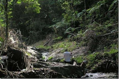 Property photo of 418B North Island Loop Road Upper Orara NSW 2450