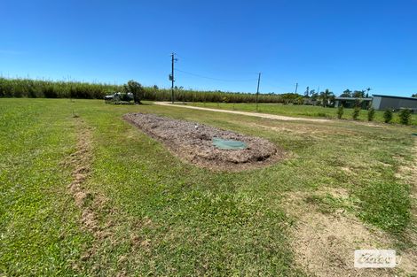 Property photo of 11 Mary Street Silkwood QLD 4856