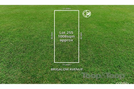 Property photo of 64 Brigalow Avenue Kensington Gardens SA 5068