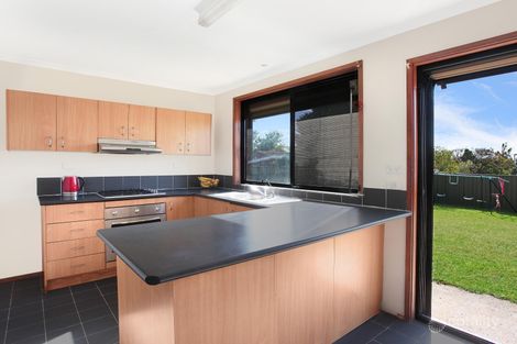 Property photo of 4 Brial Place Minto NSW 2566