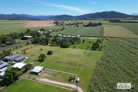 Property photo of 11 Mary Street Silkwood QLD 4856