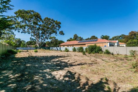 Property photo of 20 Pine Avenue Novar Gardens SA 5040