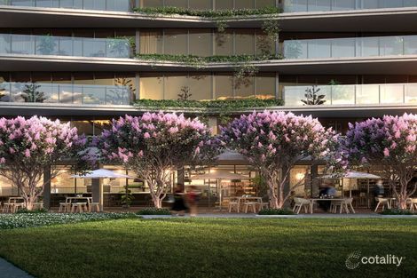 Property photo of 1 Magnoli Circuit Palm Beach QLD 4221