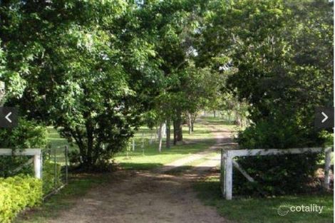 Property photo of 11 Currawong Place Bellmere QLD 4510