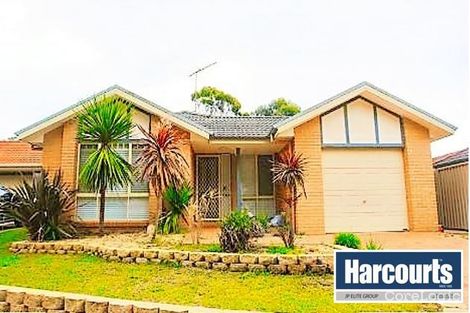 Property photo of 19 John Hunter Grove Mount Annan NSW 2567