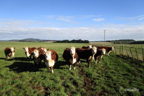 1126 Sheffield Rd, Lower Barrington, TAS 7306