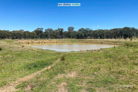 Property photo of 13497 Guyra Road Tingha NSW 2369