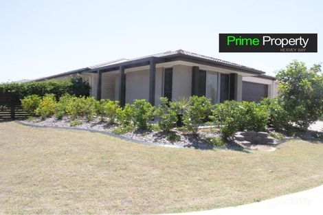 Property photo of 10 Roebuck Street Urraween QLD 4655