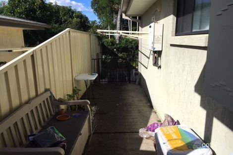 Property photo of 16/466 Steve Irwin Way Beerburrum QLD 4517