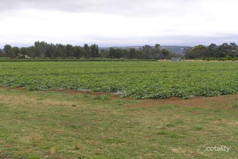 167 Korijekup Ave, Harvey, WA 6220